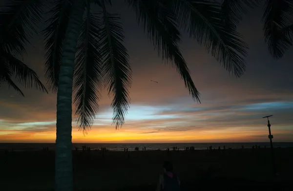 Surfing in Sri Lanka