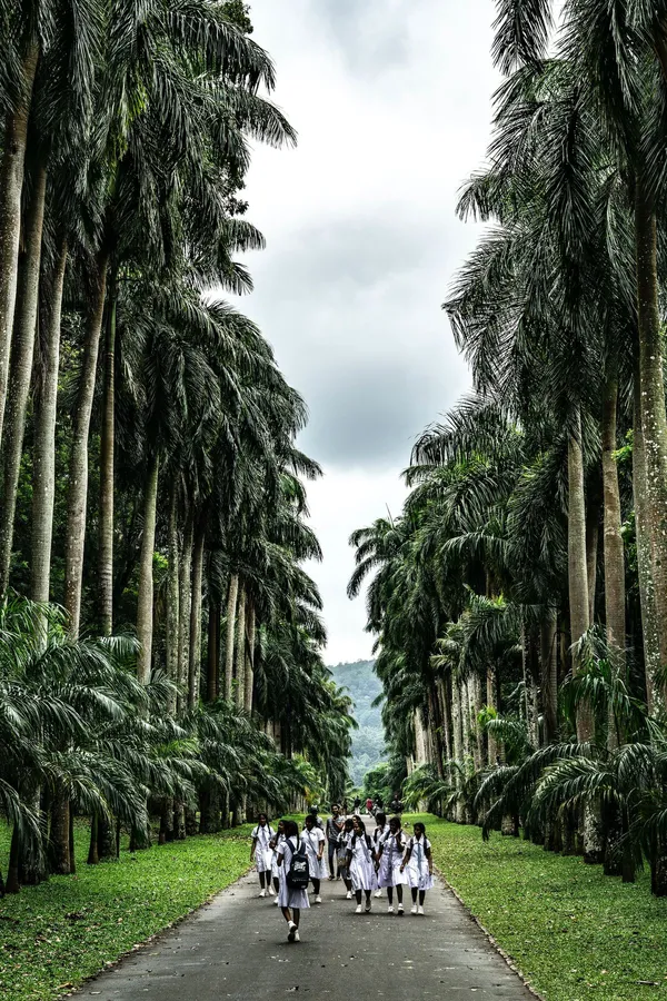 Kandy in Sri Lanka